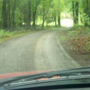 Meet your Posher, Forrest